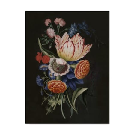 Unknown 'Dramatic Bouquet Ii' Canvas Art,24x32